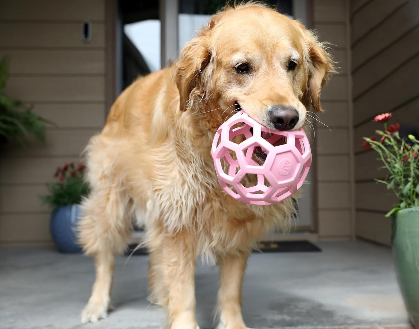JW Pet Hol-ee Roller Rubber Dog Toy - Large(5.5" Diameter) Pink