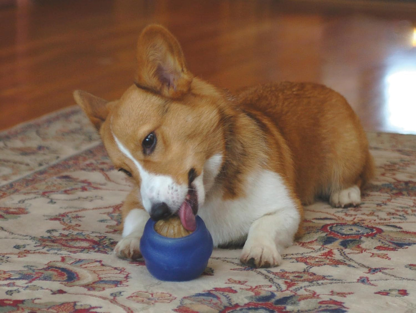 Starmark Everlasting Treat Ball - Medium