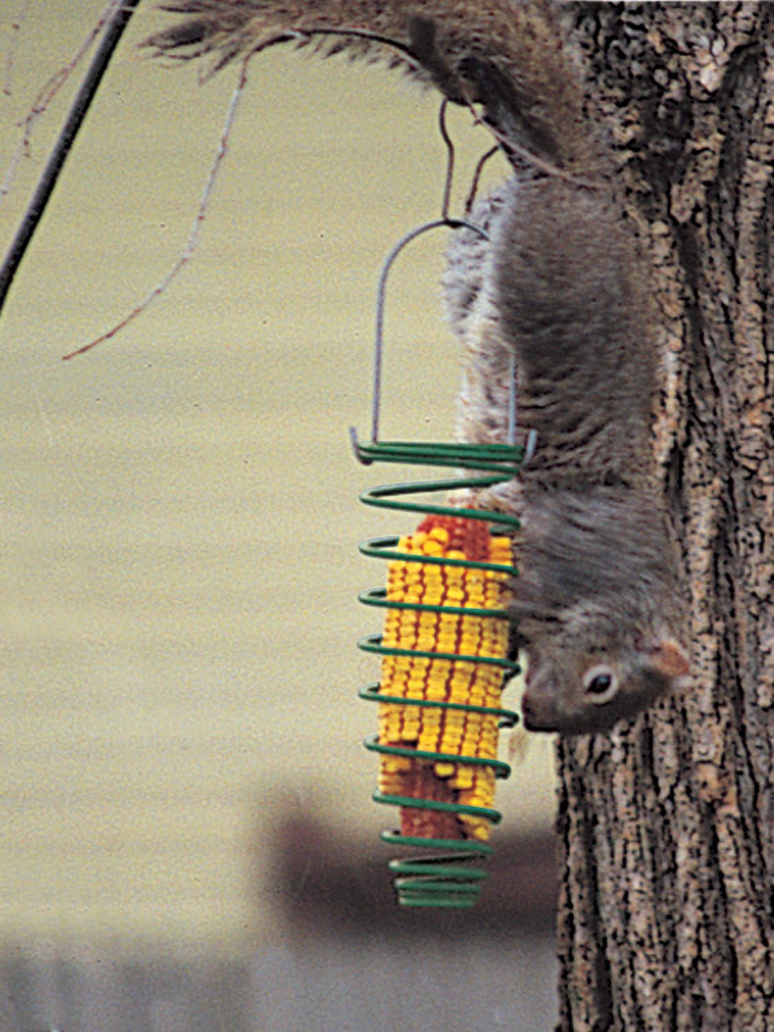 Woodlink Corn Trapper Spring Squirrel Feeder - Green (3" X 3" X 11")