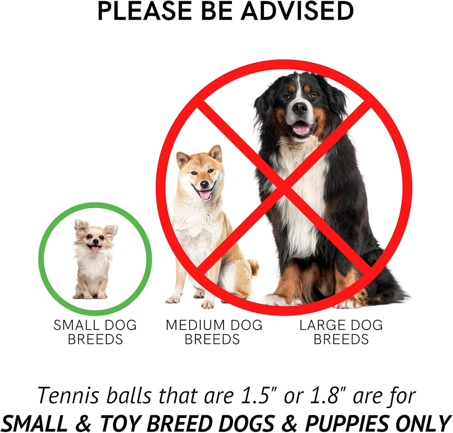 Midlee 1.5"  Mini Squeaky Tennis Ball Set of 12 Blue