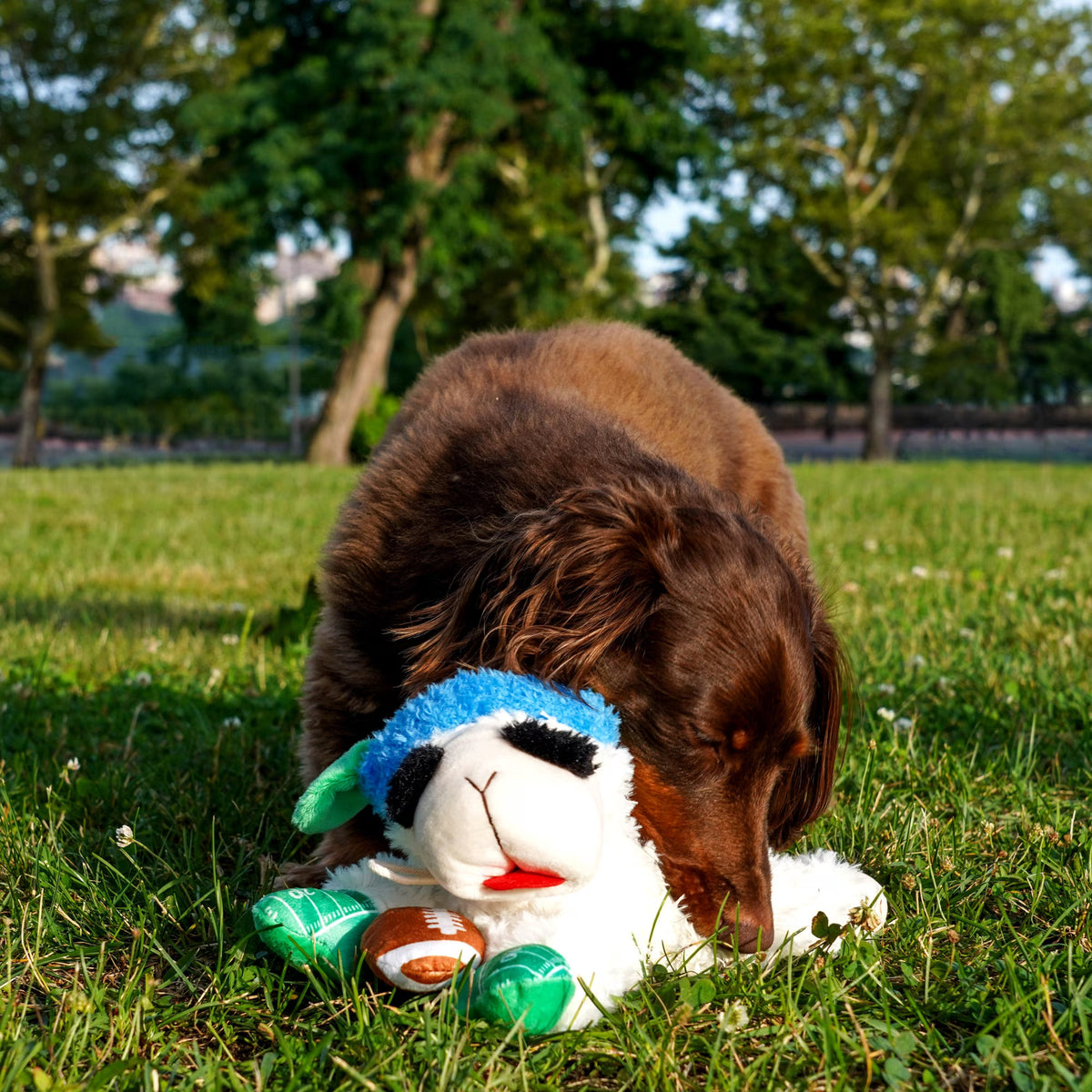 Multipet Tailgate Lamb Chop w/ Football Cat Toy - 4"