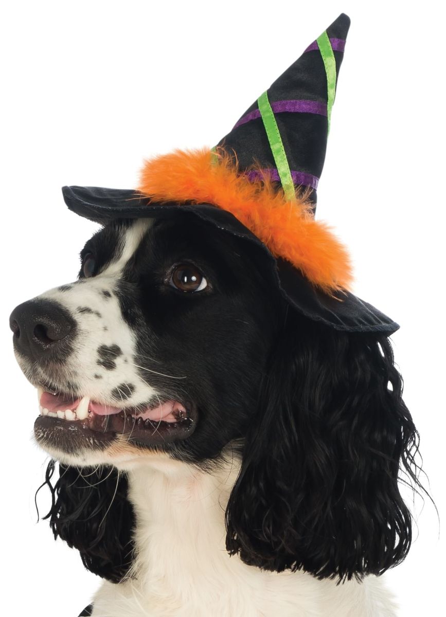 Rubies Pet Witch Hat With Trim - Medium/Large