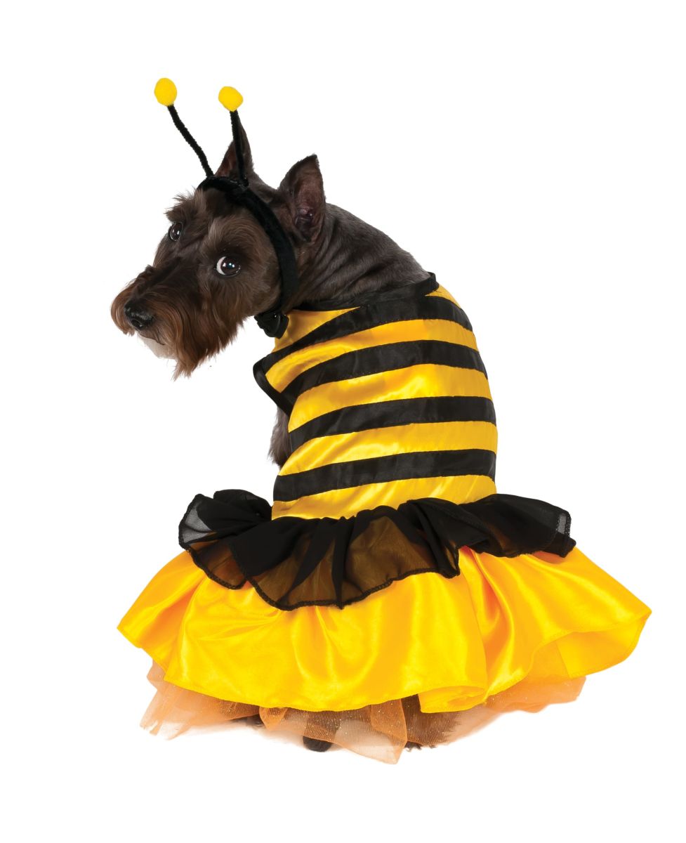 Rubie's Costume Co Pet Costume, Medium, Bumblebee Dress