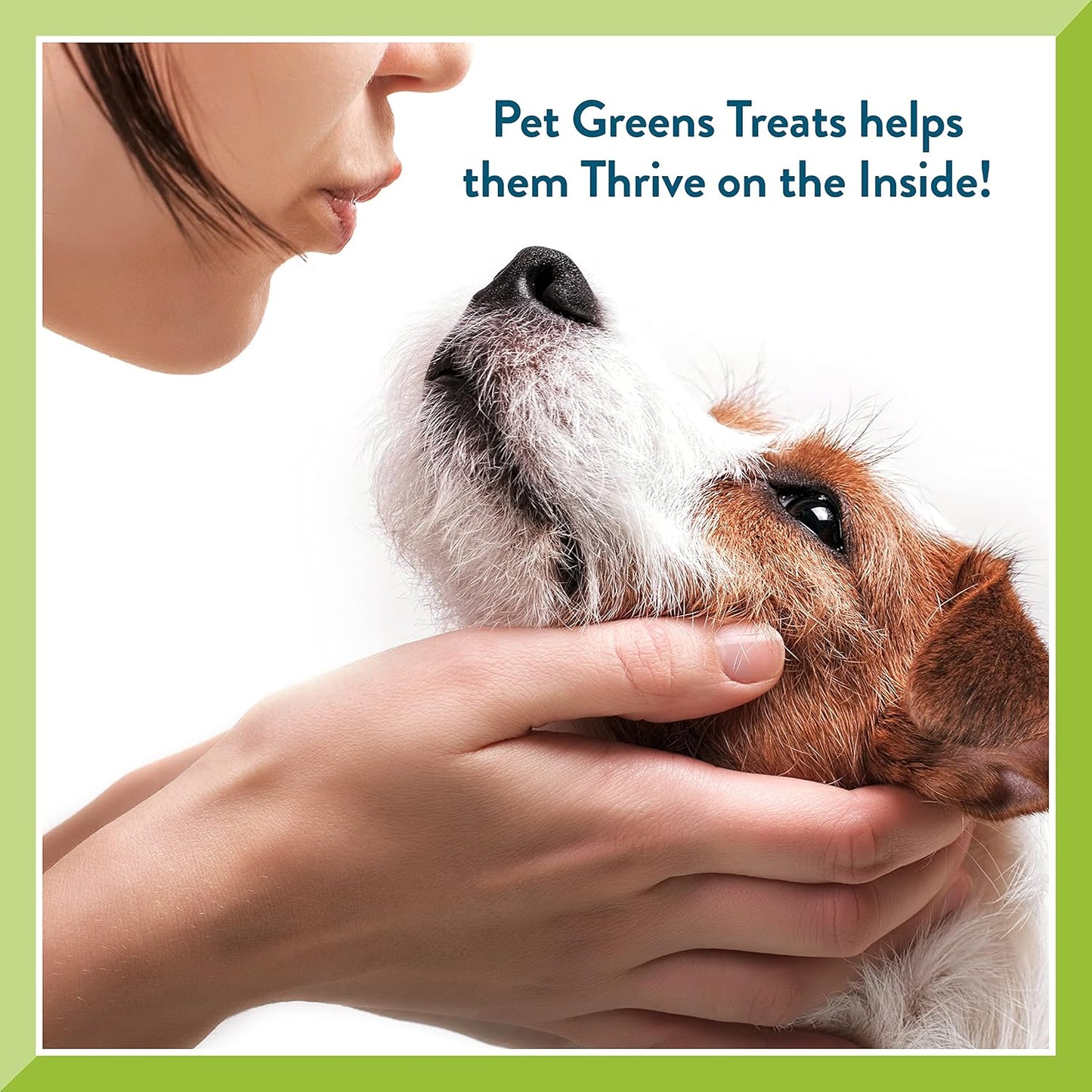 Pet Greens Bell Rock Li'l Treats Roasted Chicken - 6oz
