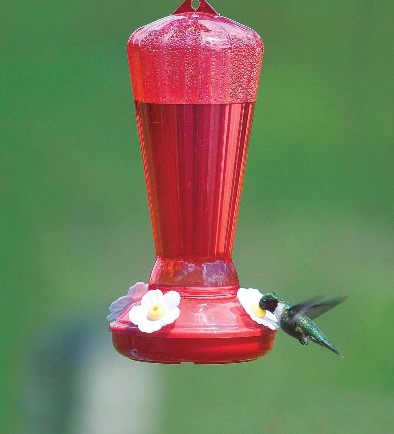 More Birds Plastic Hollyhock Hummingbird Feeder - 25 Ounce