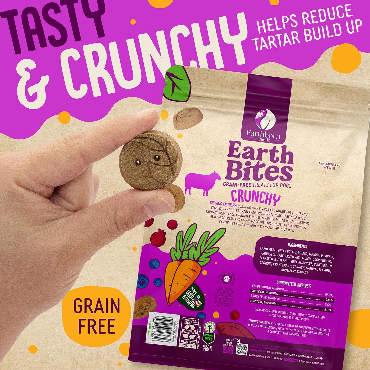 Earthborn Holistic EarthBars Lamb & Pumpkin Grain-Free Crunchy Dog Treats - 2 lbs