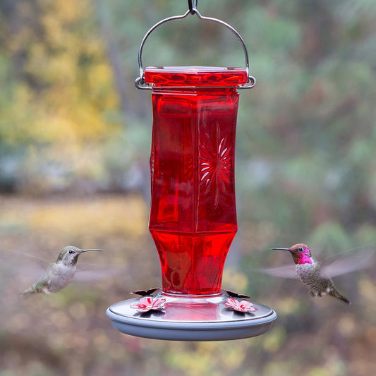 Perky-Pet Ruby Red Starburst Vintage Glass Hanging Hummingbird Feeders - 16 Oz