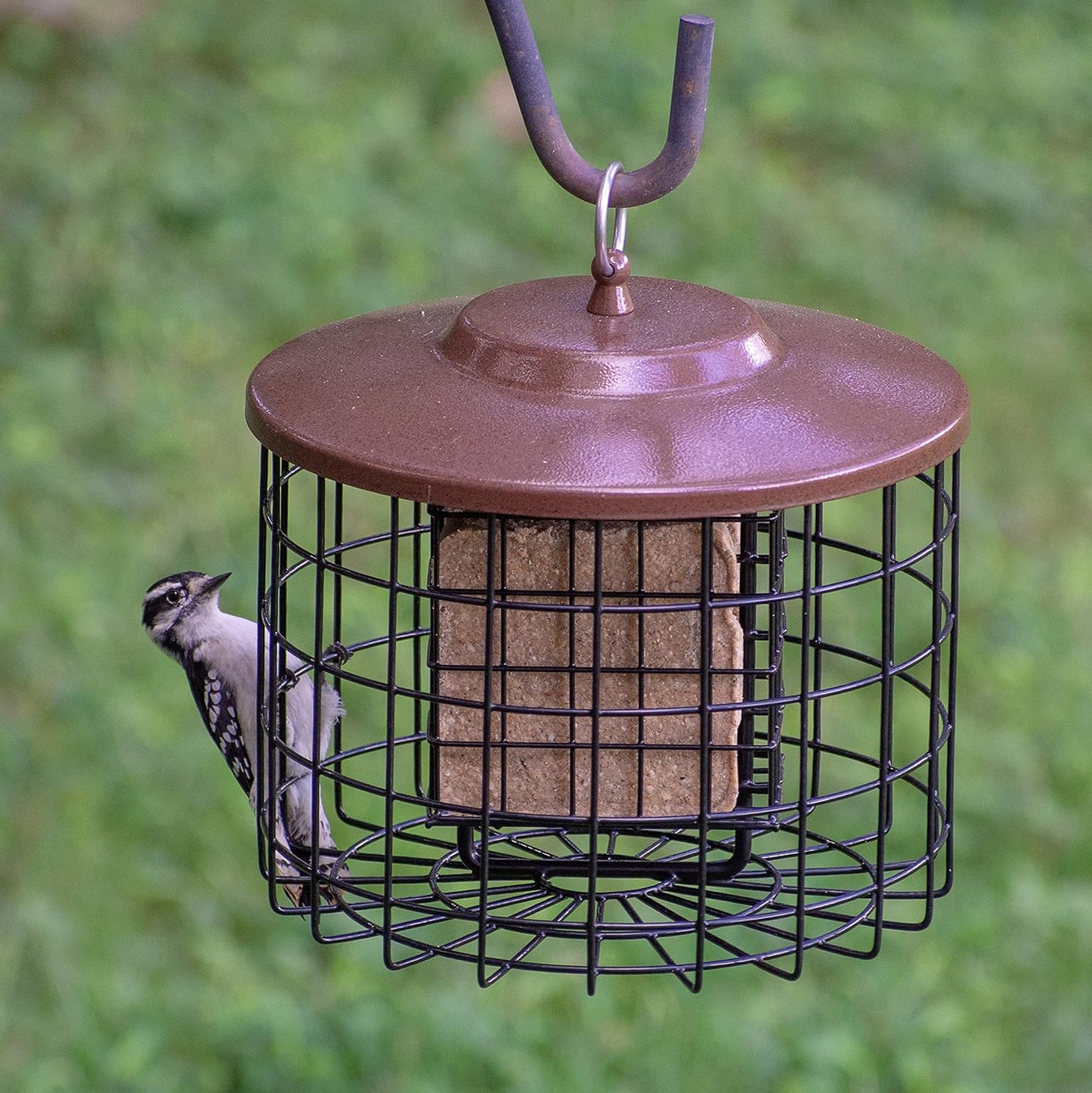 More Birds Black/Brown Squirrel Proof Double Suet Bird Feeders - 9.5"