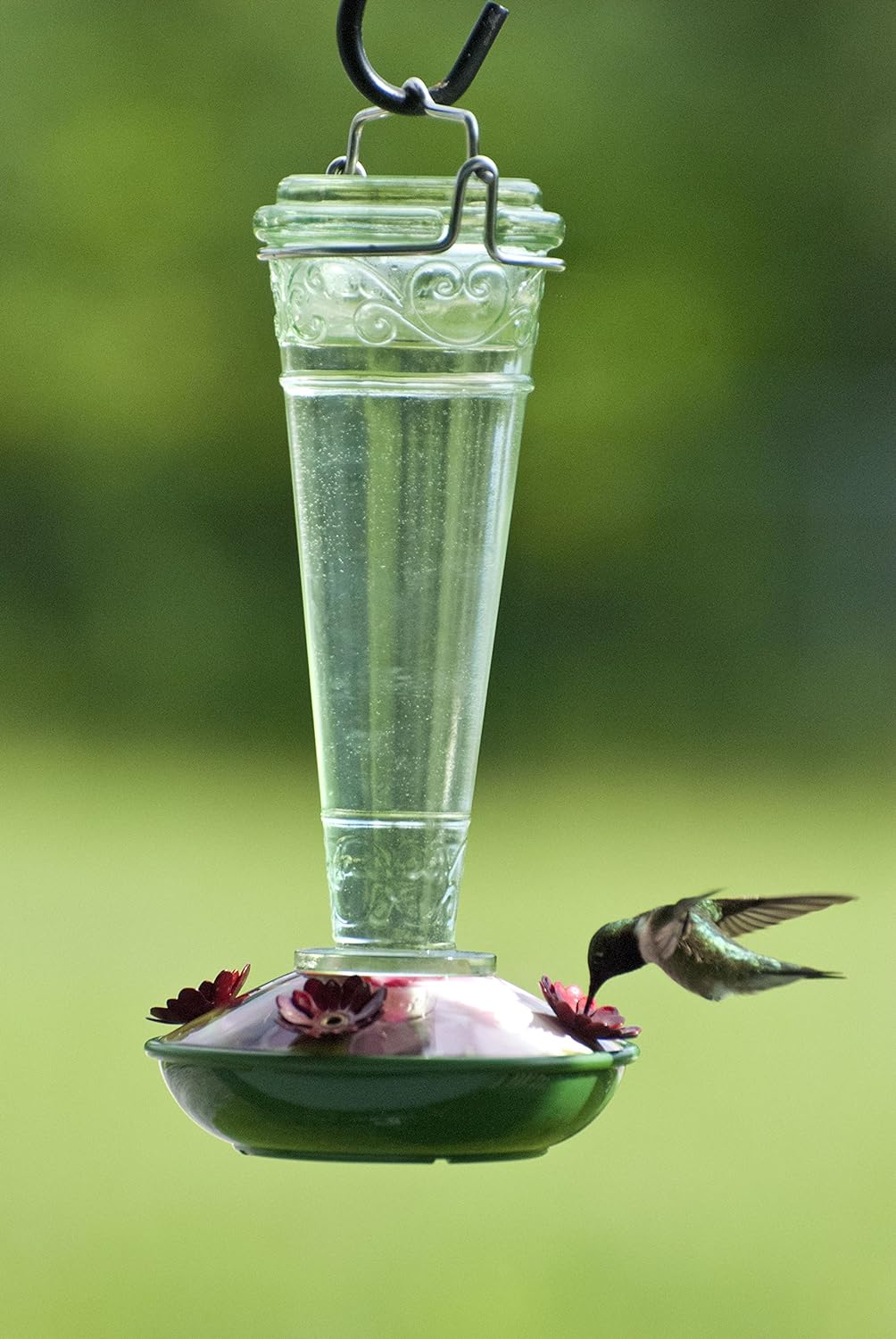 Audubon Green/Red Torchiere Decorative Glass Hummingbird Feeder - 8 Ounces