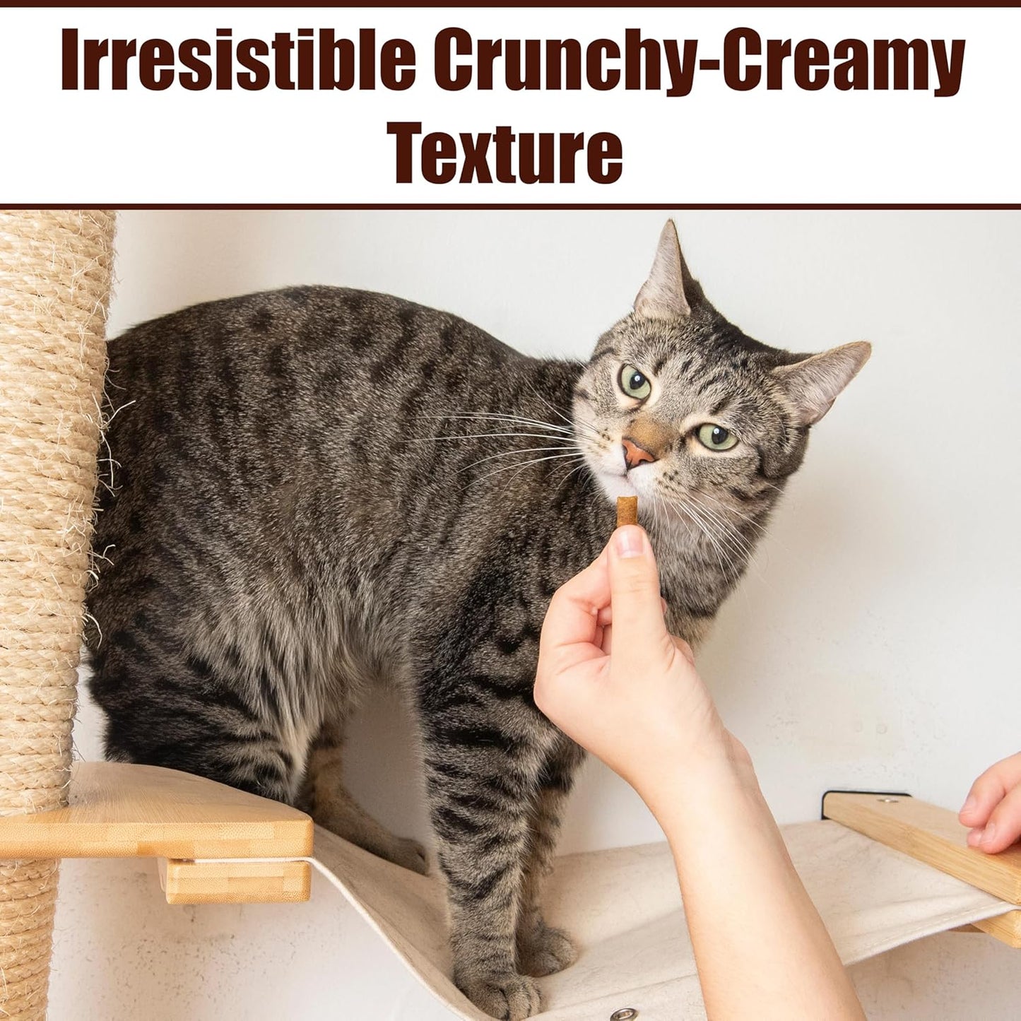 Fieldcrest Farms Nothin’ to Hide Collagen Cat Treats – Crunchy & Creamy Cat Snacks, Chicken Flavor, 8oz Tub.