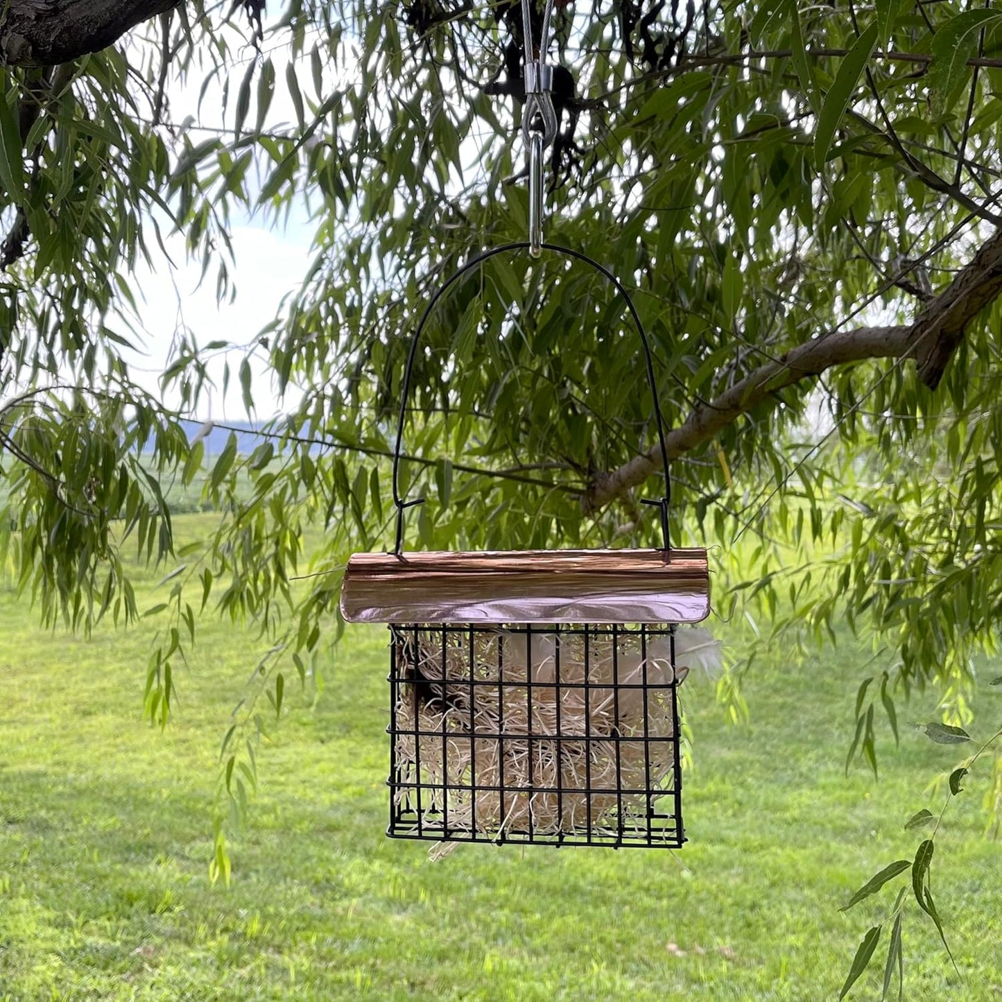Songbird Essentials SEWF91009 Nesting Material Mixture