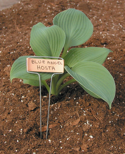 Luster Leaf  Classic Impressions 10-Inch Copper Garden Plant Label with Marker (10 Pack)