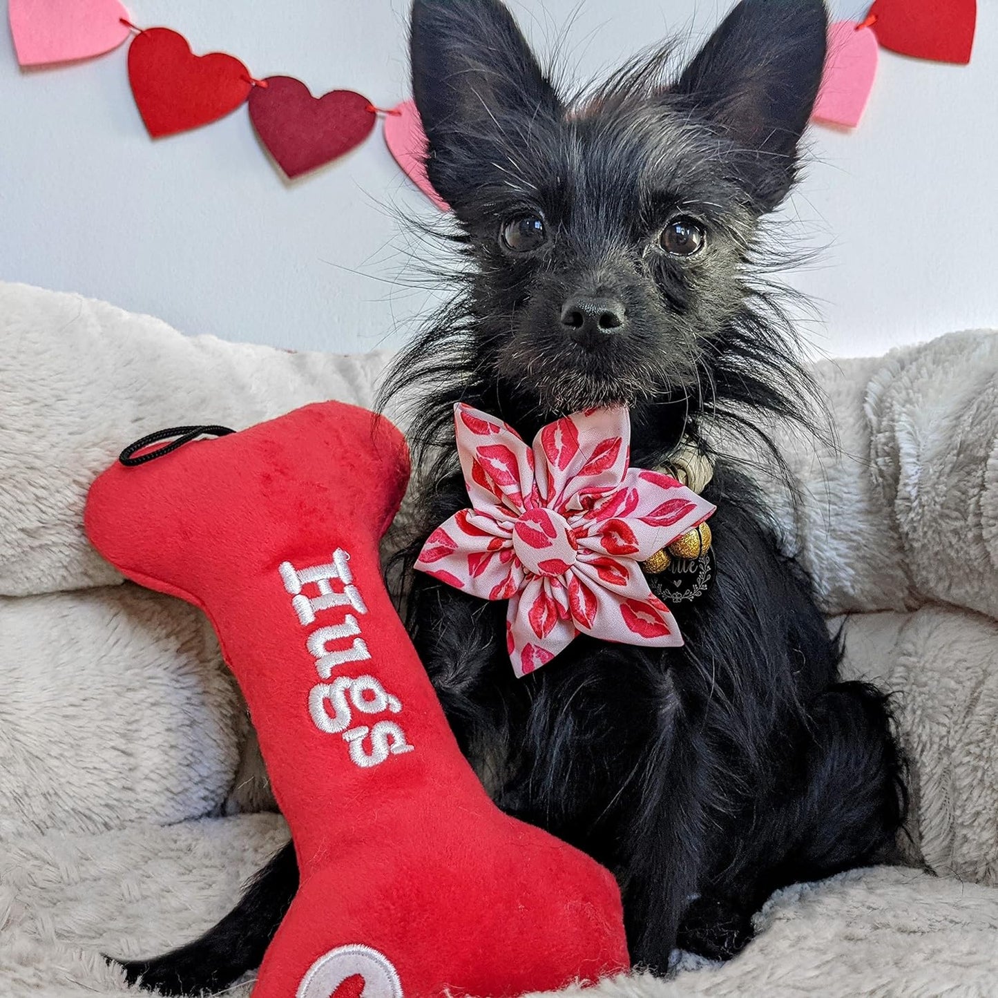 Lulubelles Valentine's Day Hugs and Kisses Plush Squeaky Dog Bone (Large 12")