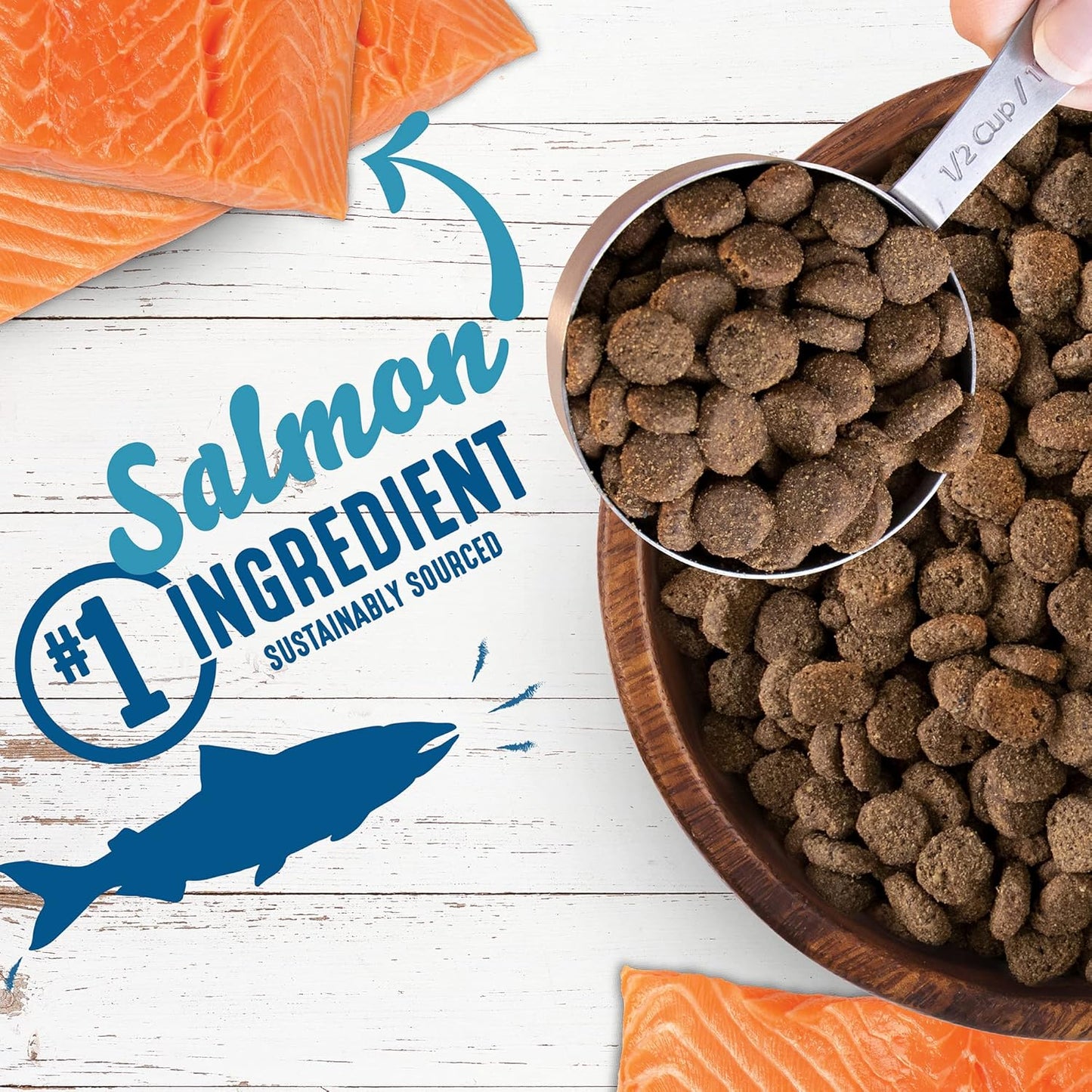 Earthborn Holistic Unrefined Smoked Salmon with Ancient Grains & Superfoods Dry Dog Food - 4 lbs