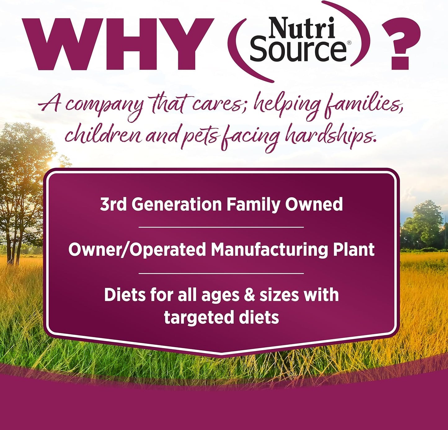 NutriSource Chicken and Rice Canned Cat Food - 5.5 oz (Pack of 12)