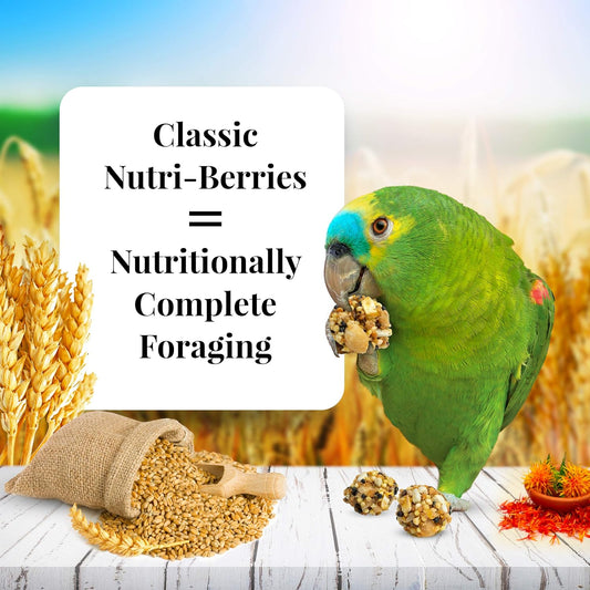 Lafeber Classic Nutri-Berries Parrot Food - 20 lb Box