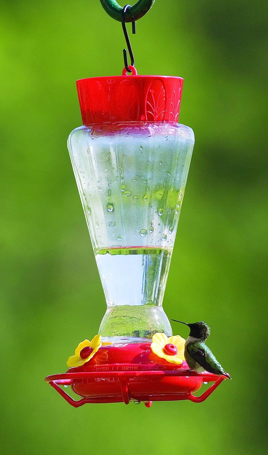 More Birds Royal Glass Hummingbird Feeder -  Red/Clear (28 Ounce)