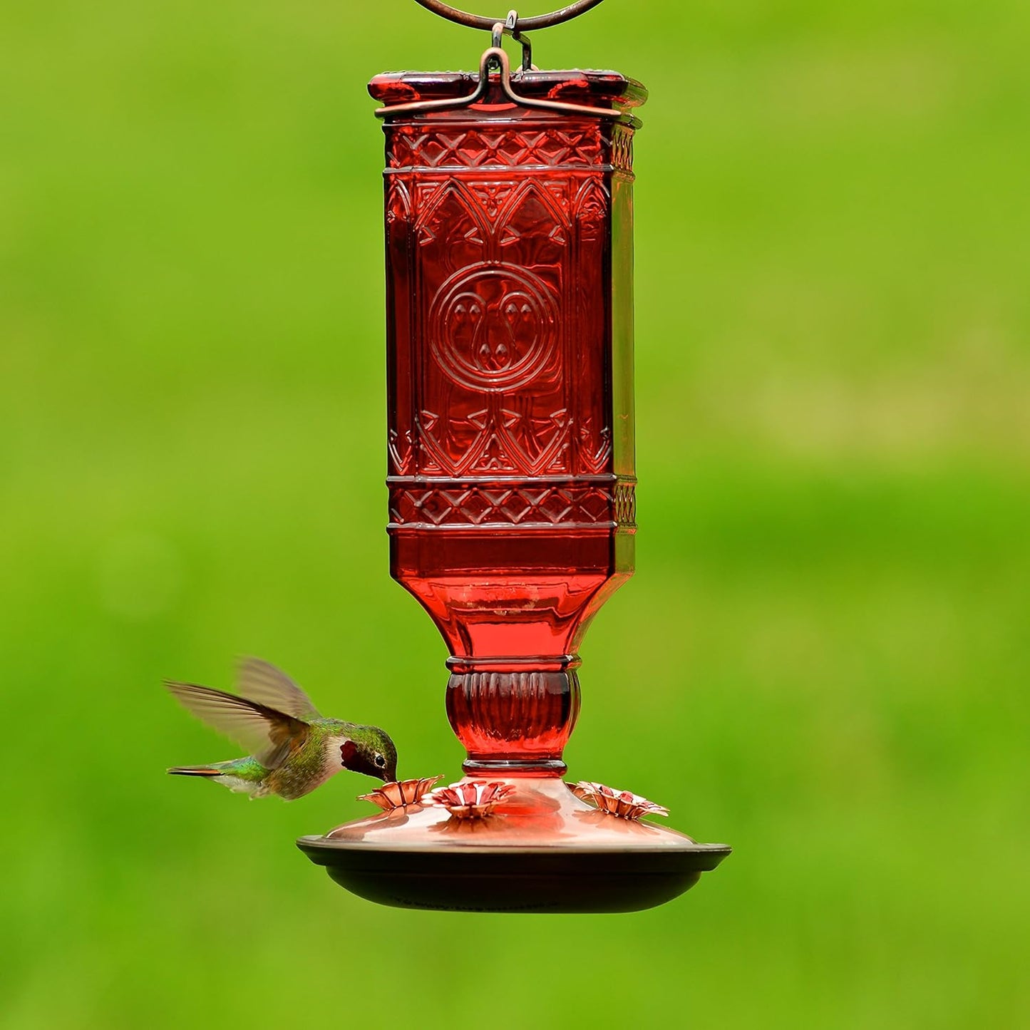 Perky-Pet Red Square Antique Bottle Glass Hummingbird Feeder - 24 Oz