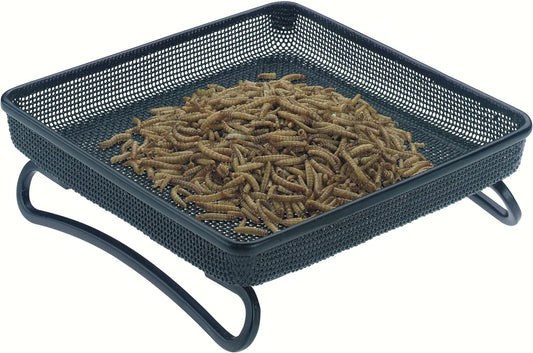 Gardman Compact Ground Bird Tray Feeder- Black