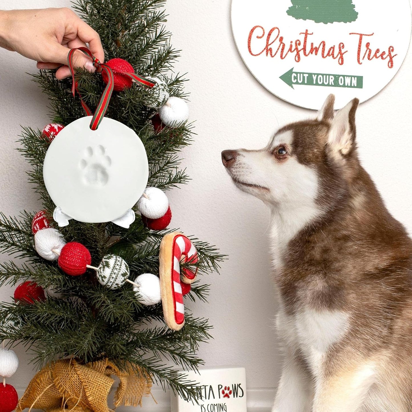 Midlee Christmas Clay Dog Paw Print Ornament Kit with Stand