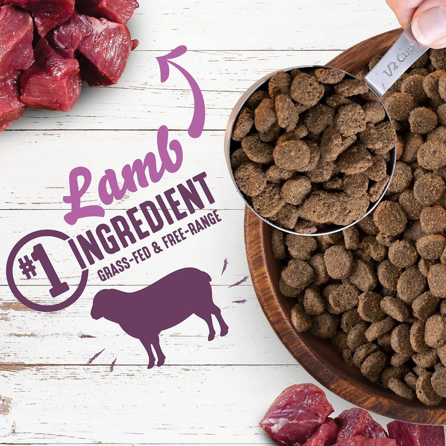 Earthborn Holistic Unrefined Roasted Lamb with Ancient Grains & Superfoods Dry Dog Food - 25 lbs