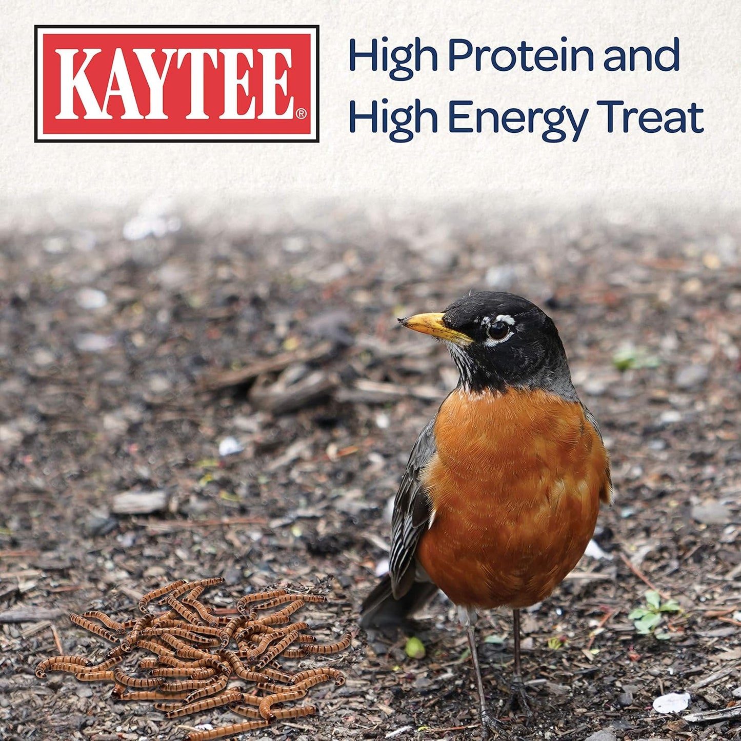 Kaytee Mealworms Bird Food - 17.6 Oz