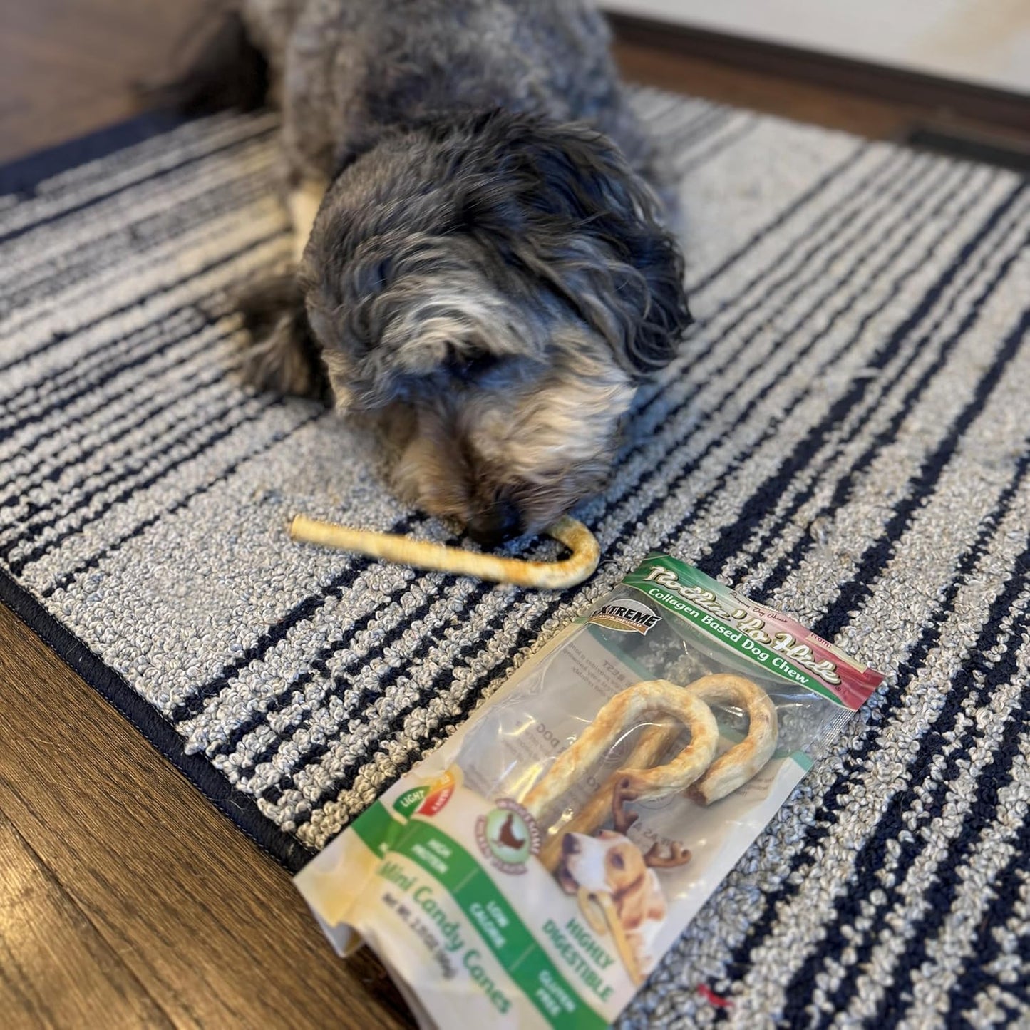 Fieldcrest Farms Nothin' to Hide Mini Holiday Candy Canes Chicken Flavor - Dog Treat(Pack of 6)