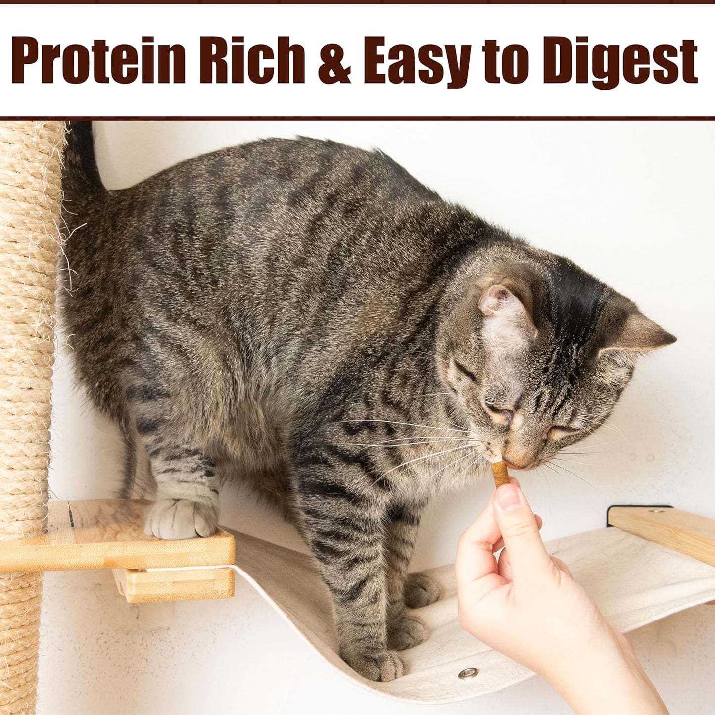 Fieldcrest Farms Nothin’ to Hide Collagen Cat Treats – Crunchy & Creamy Cat Snacks, Chicken Flavor, 8oz Tub.
