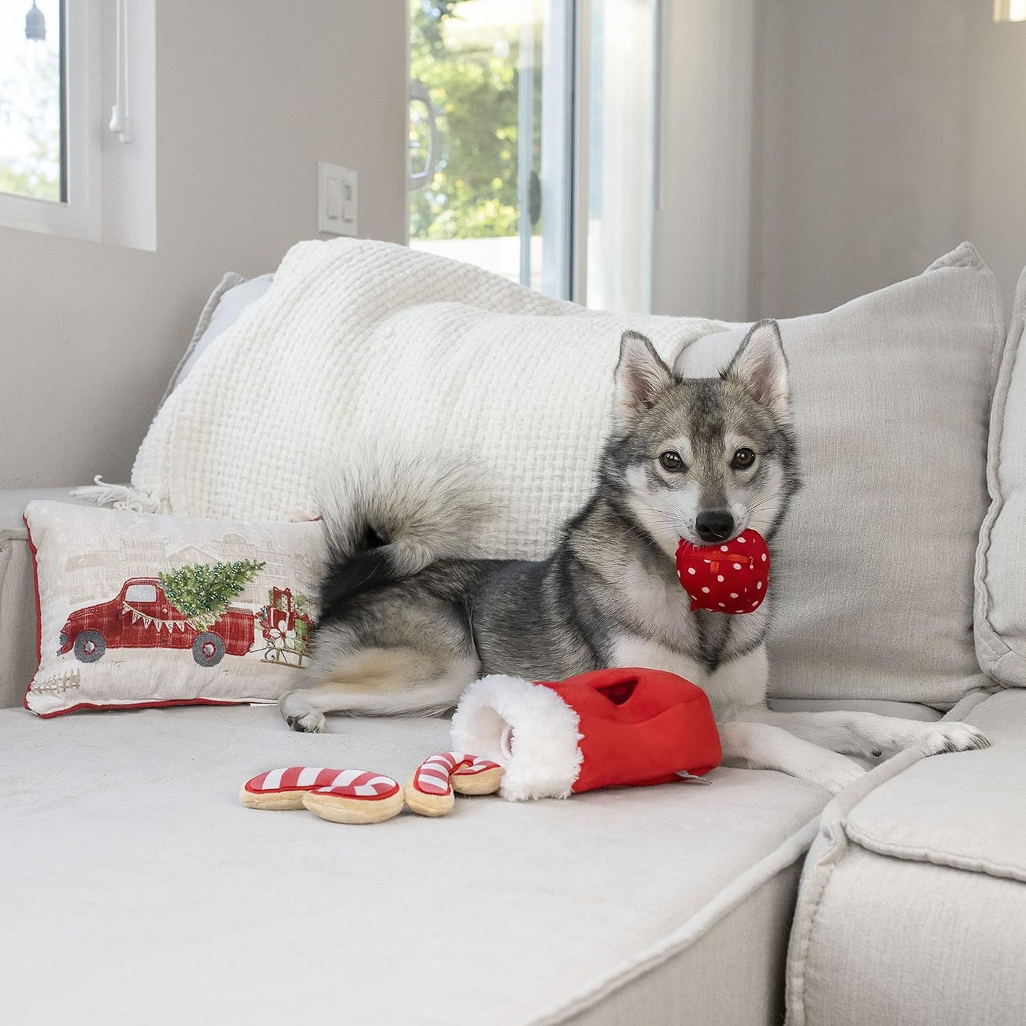 Find a Toy Christmas Stocking Dog Toy