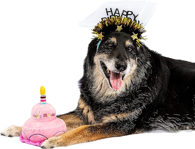 Midlee Sparkle Happy Birthday Dog Headband  (Pink)