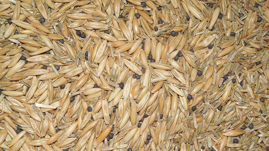 Antler King No Sweat No Till Plot Mix Deer Food (Plants 1/4 Acre) -4.5 LB