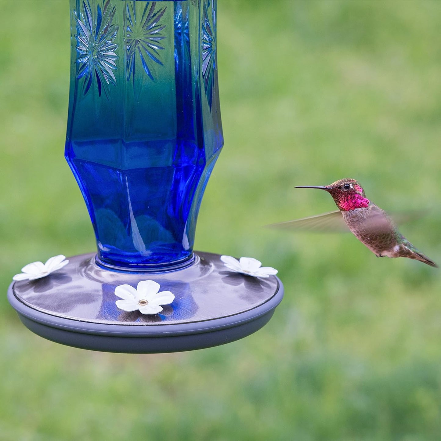 Perky Pet Sapphire Blue Vintage Glass Starburst Hummingbird Feeder - 16 oz