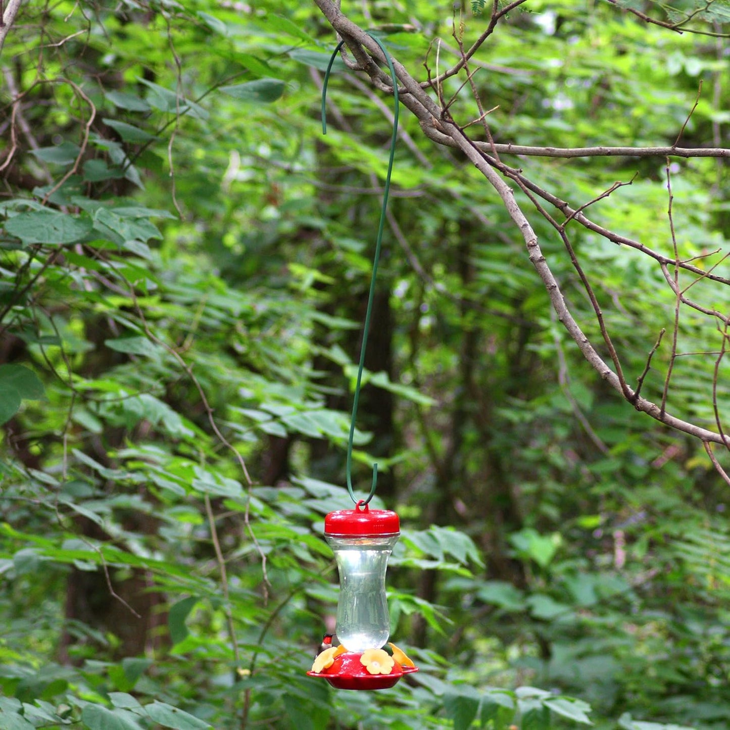 Perky-Pet Top Fill Glass Hummingbird Feeder - Red (16 Ounce)