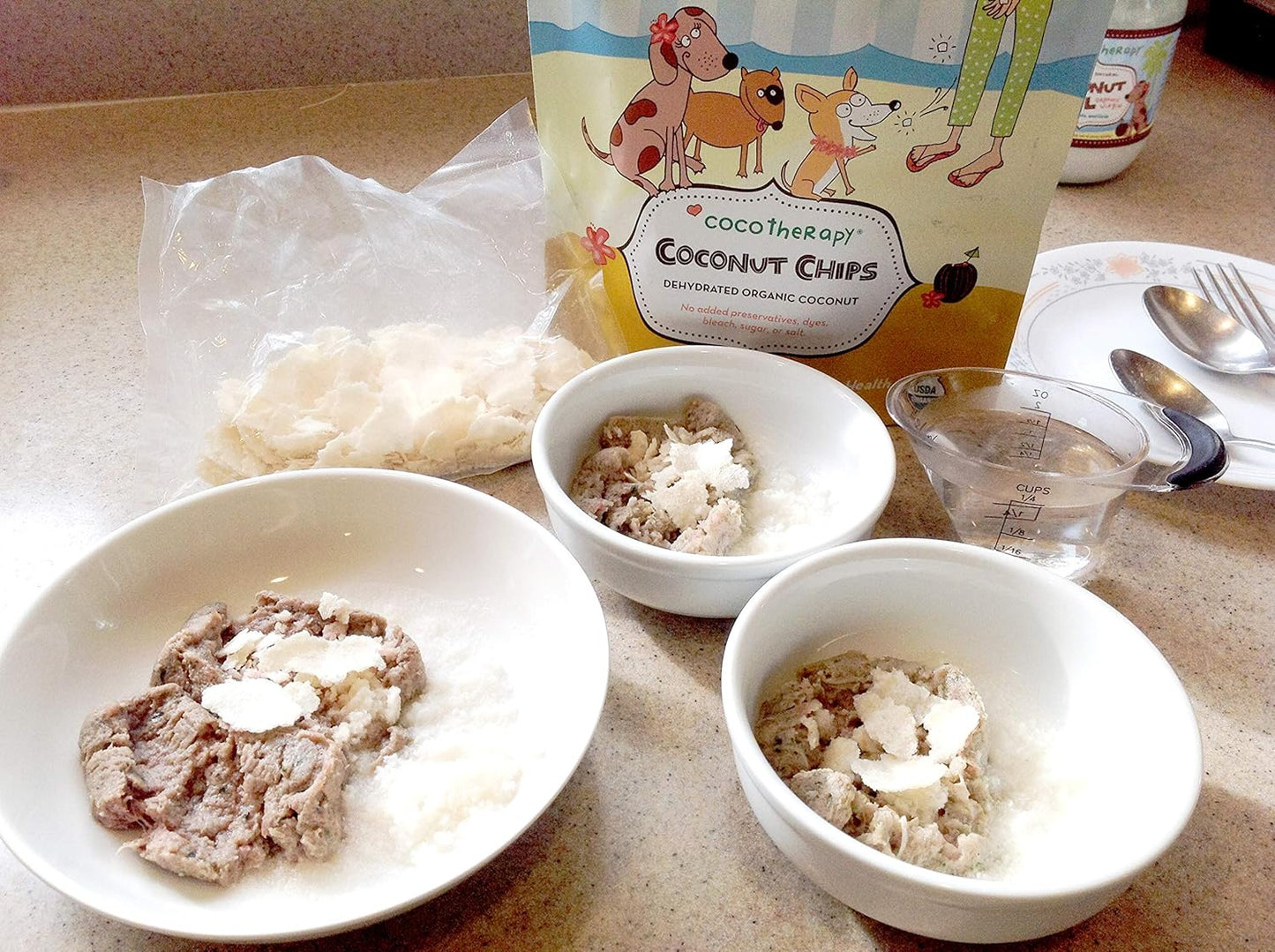 CocoTherapy CTT-0002-6 Coconut Chips (1 Pouch), 6 oz