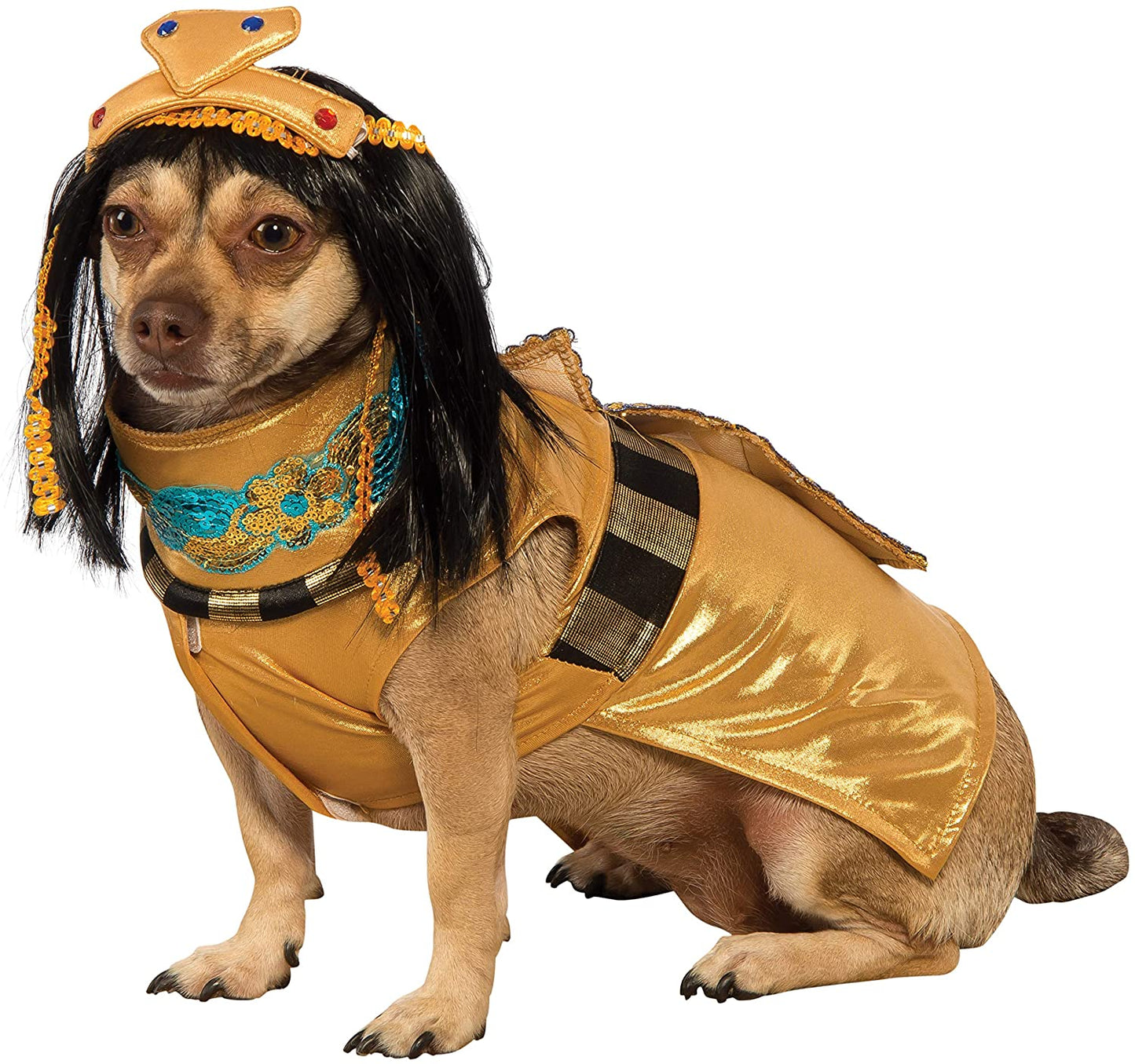 Rubie's Cleopatra Pet Costume, Large