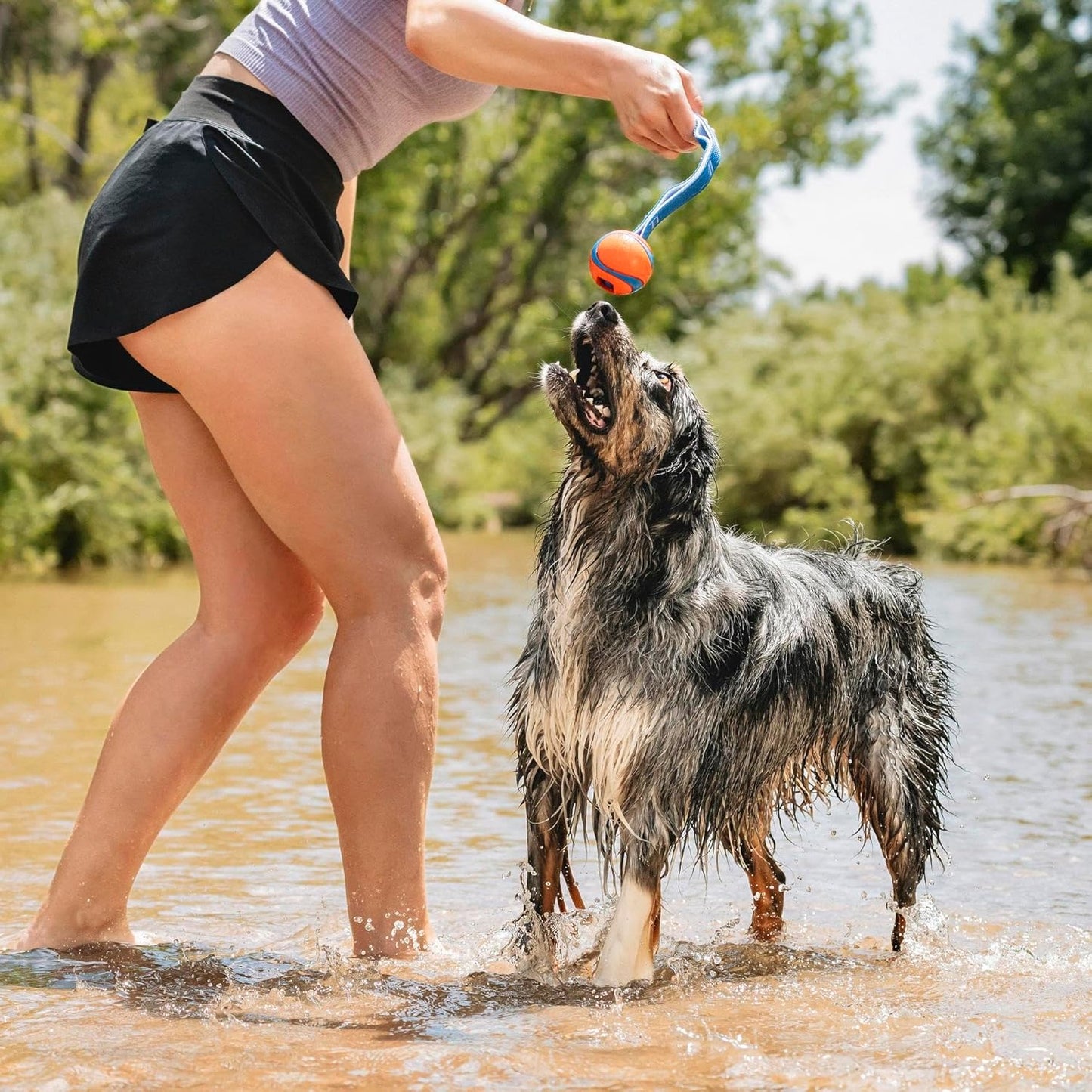 Chuckit Chuckit Ultra Duo Tug - Medium (2.25")