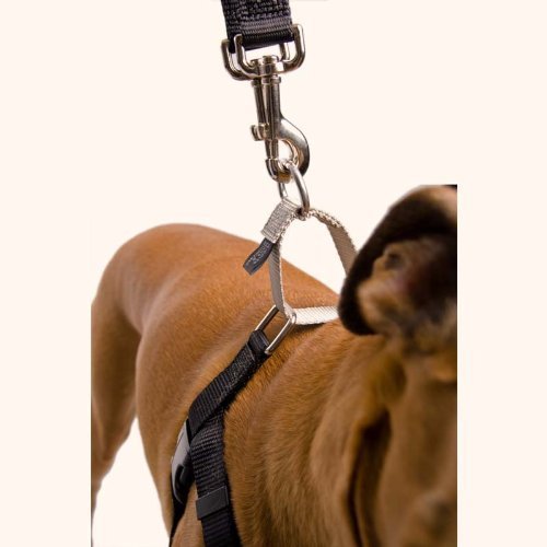 2 Hounds Design Freedom No-Pull Dog Harness Training Package, Medium (1" wide), Burgundy