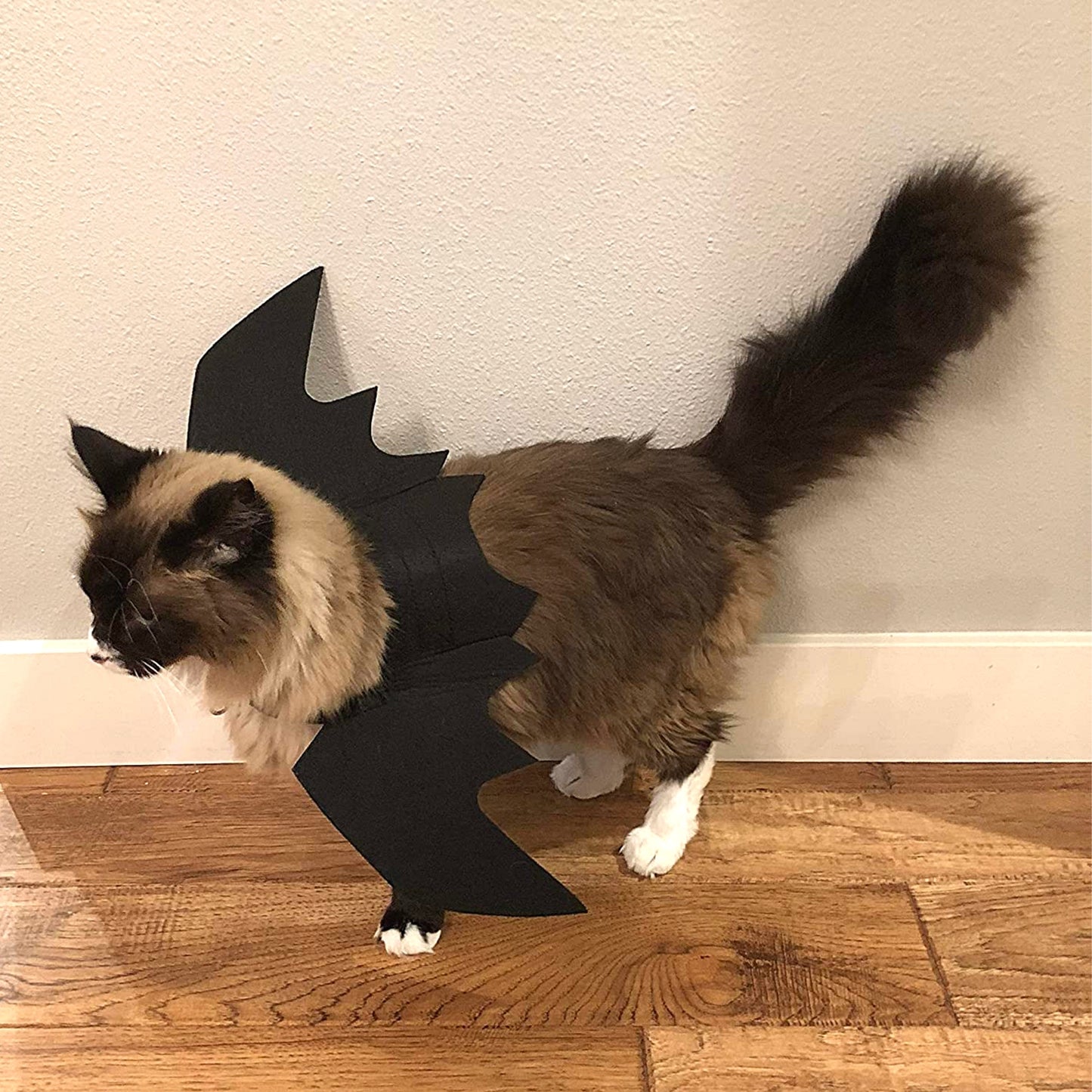 Midlee Bat Wings Cat Costume
