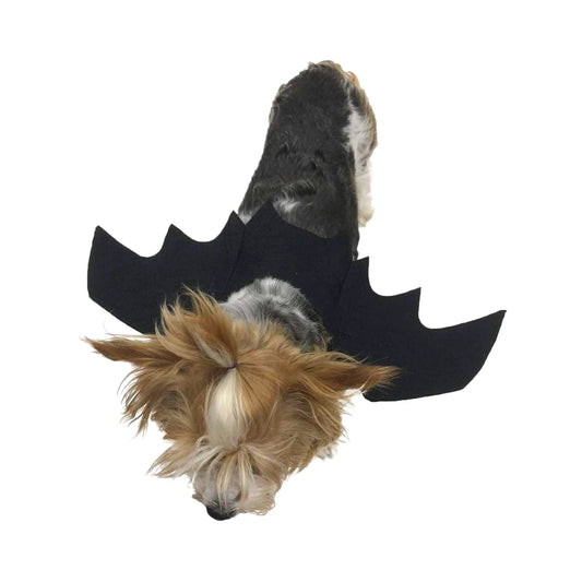 Midlee Bat Wings Cat Costume