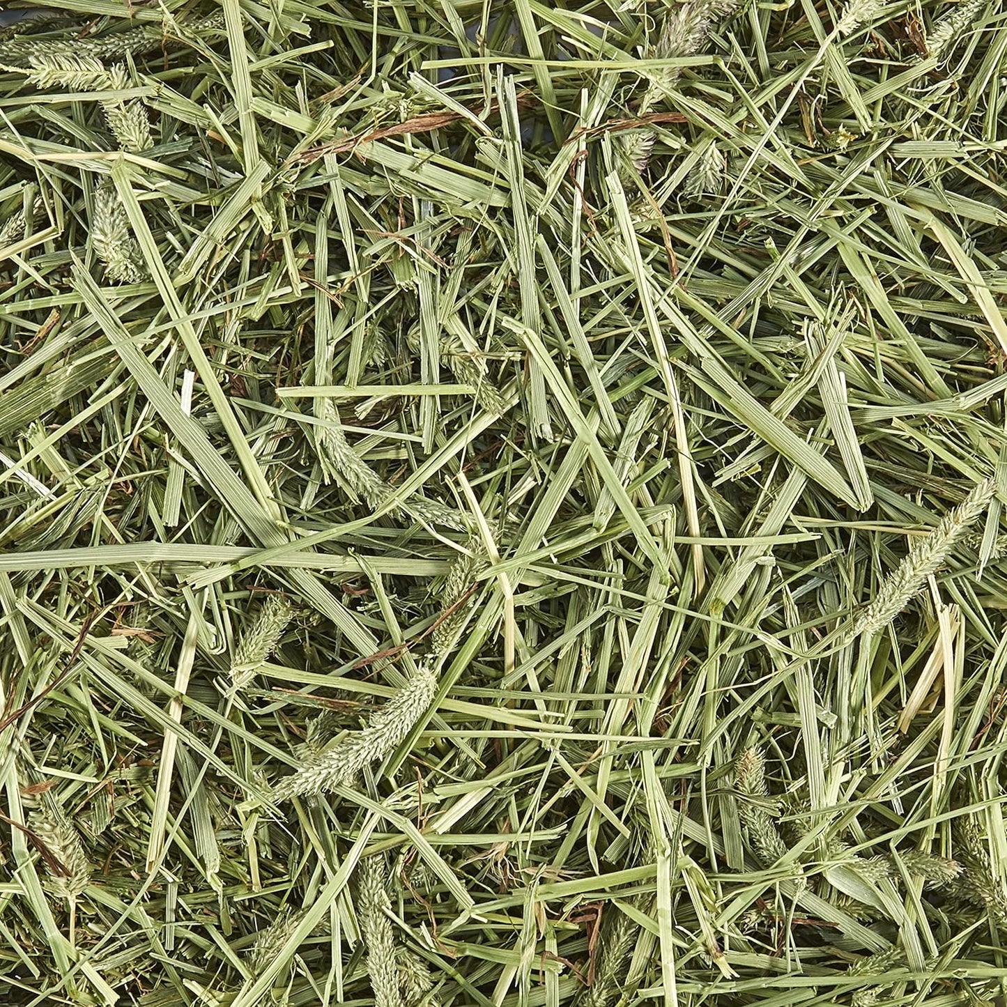 Kaytee All Natural Timothy Hay for Guinea Pigs, Rabbits & Other Small Animals - 6 Pound