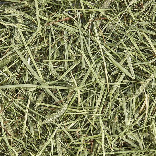Kaytee All Natural Timothy Hay for Guinea Pigs, Rabbits & Other Small Animals - 6 Pound