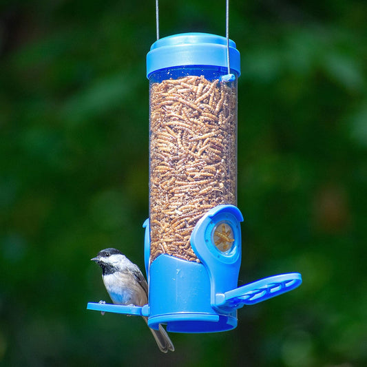 Perky-Pet Blue Mealworm Tube Bird Feeder With Flexport - 3 Ounce