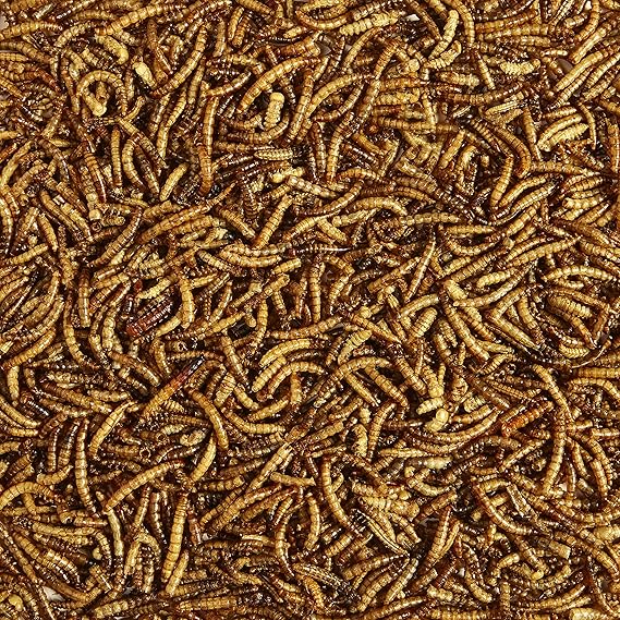 Kaytee Mealworms Bird Food - 17.6 Oz