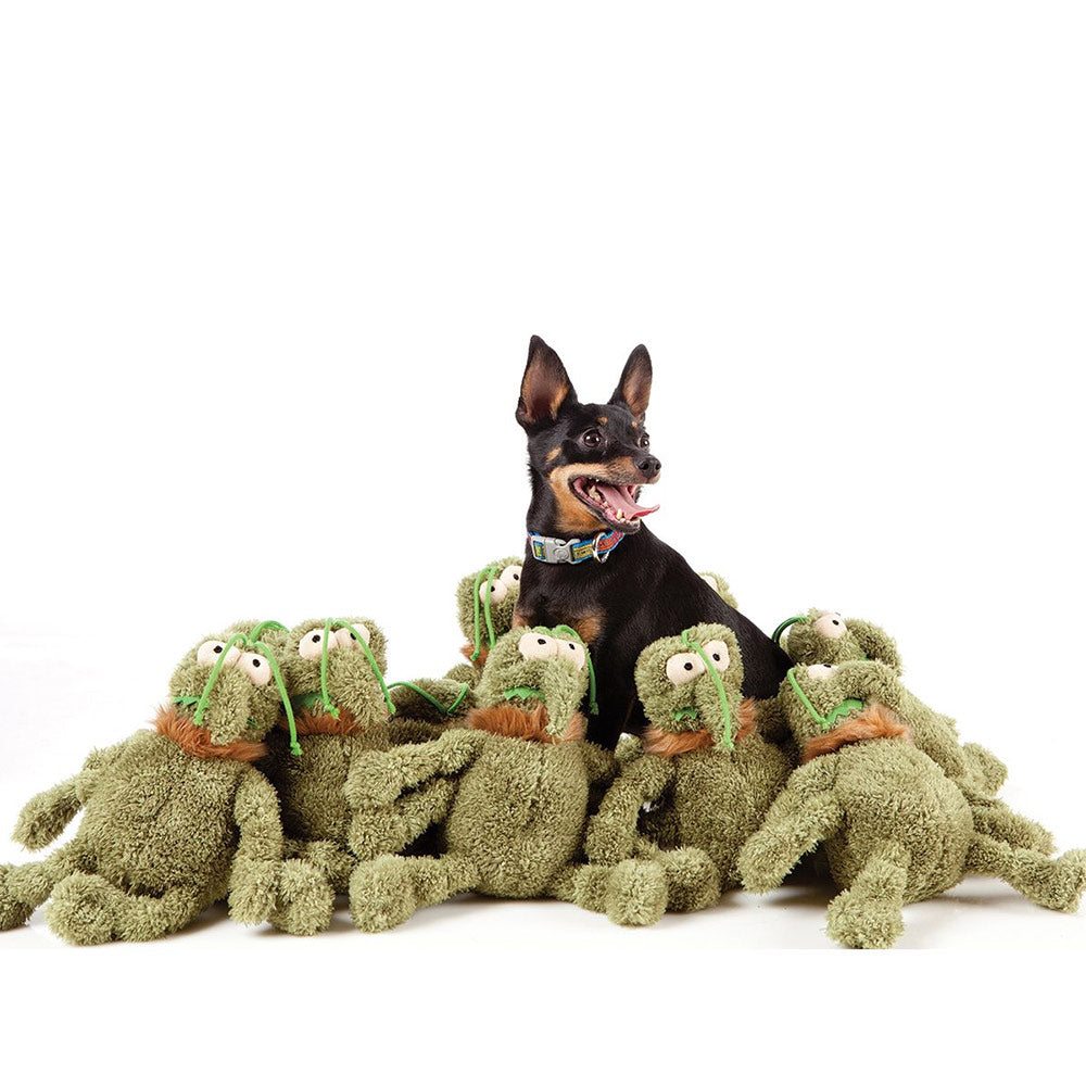 FuzzYard Scratchy the Green Flea Plush Squeaky Dog Toy - Small