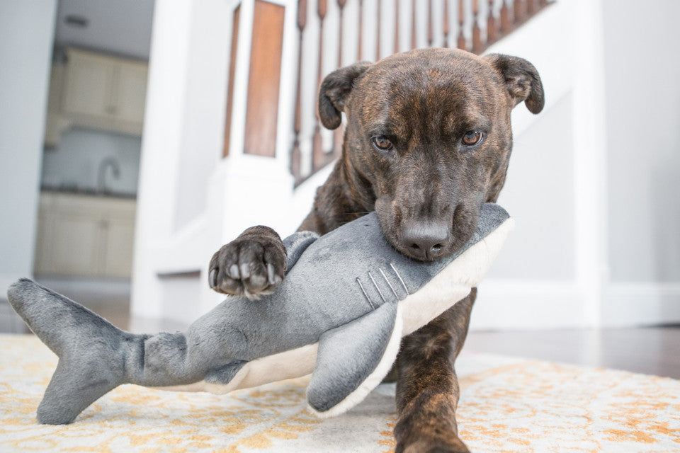 Fluff & Tuff Mac the Shark Dog Toy - 18"