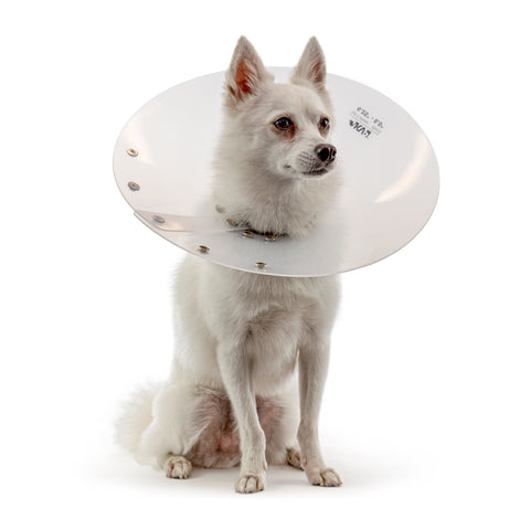 KVP SAF-T-Shield Dog Recovery Collar, Fits 6" to 8.25" Neck/12 Diameter