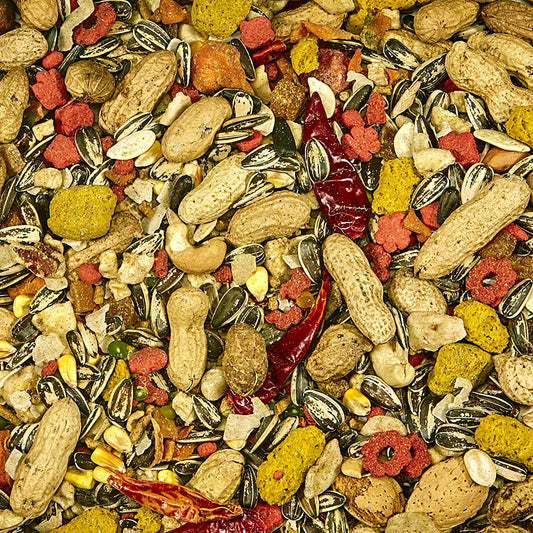 Kaytee Fiesta Small Parrot & Conure Gourmet Big Bites Diet- 4lbs