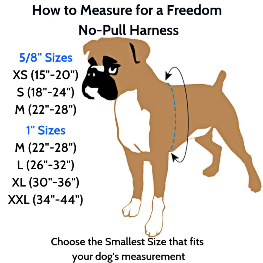 2 Hounds Design Freedom No Pull Dog Harness, 5/8" Small, Raspberry