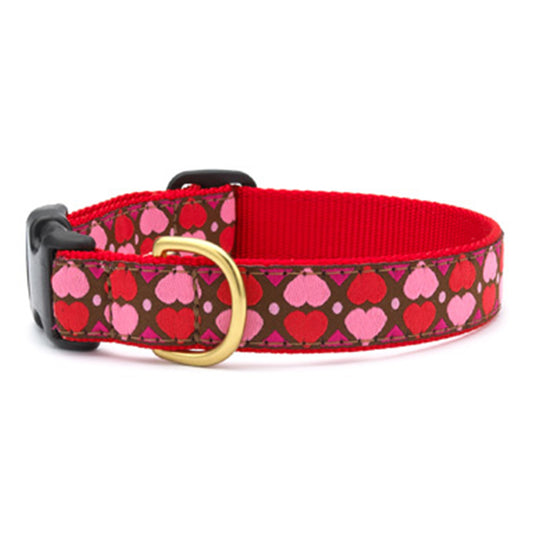 Up Country All Hearts Dog Collar - Small (9 to 15 Inches) 1 Inch Wide Width