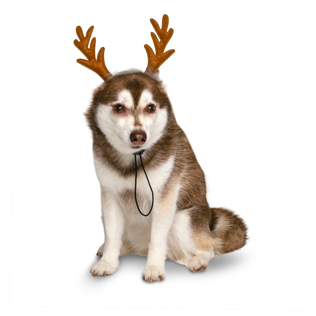 Midlee Furry Antlers Dog Headband